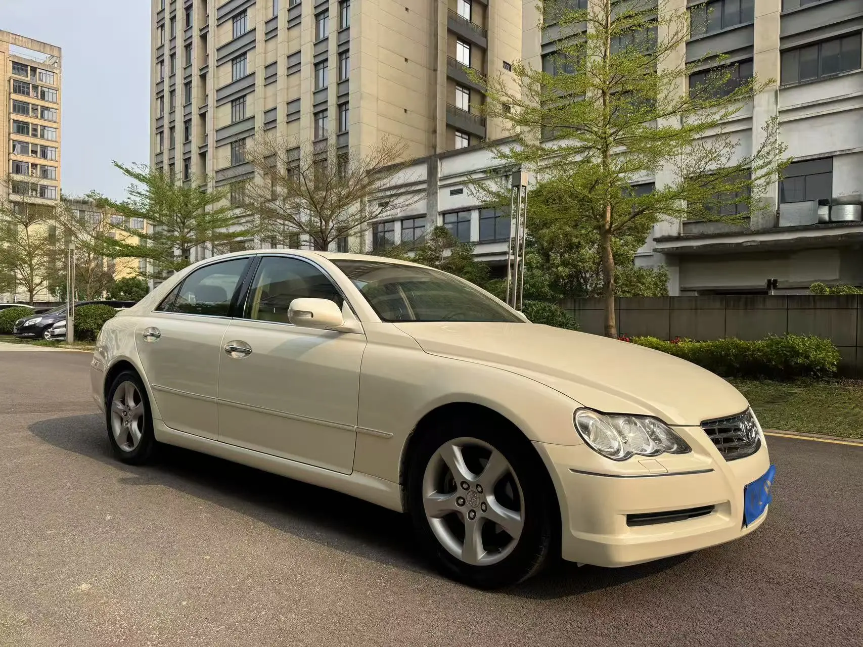Toyota Ruizhi