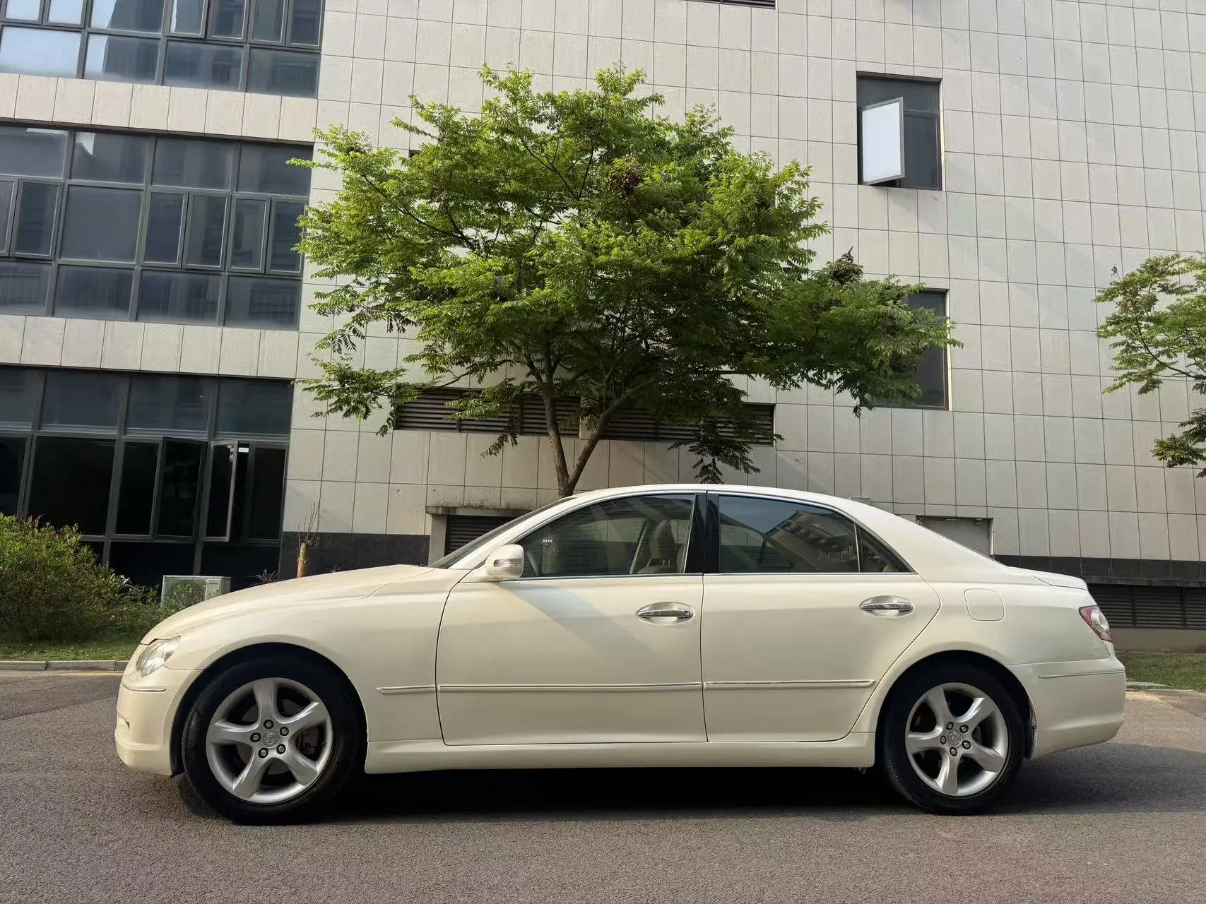 Toyota Ruizhi