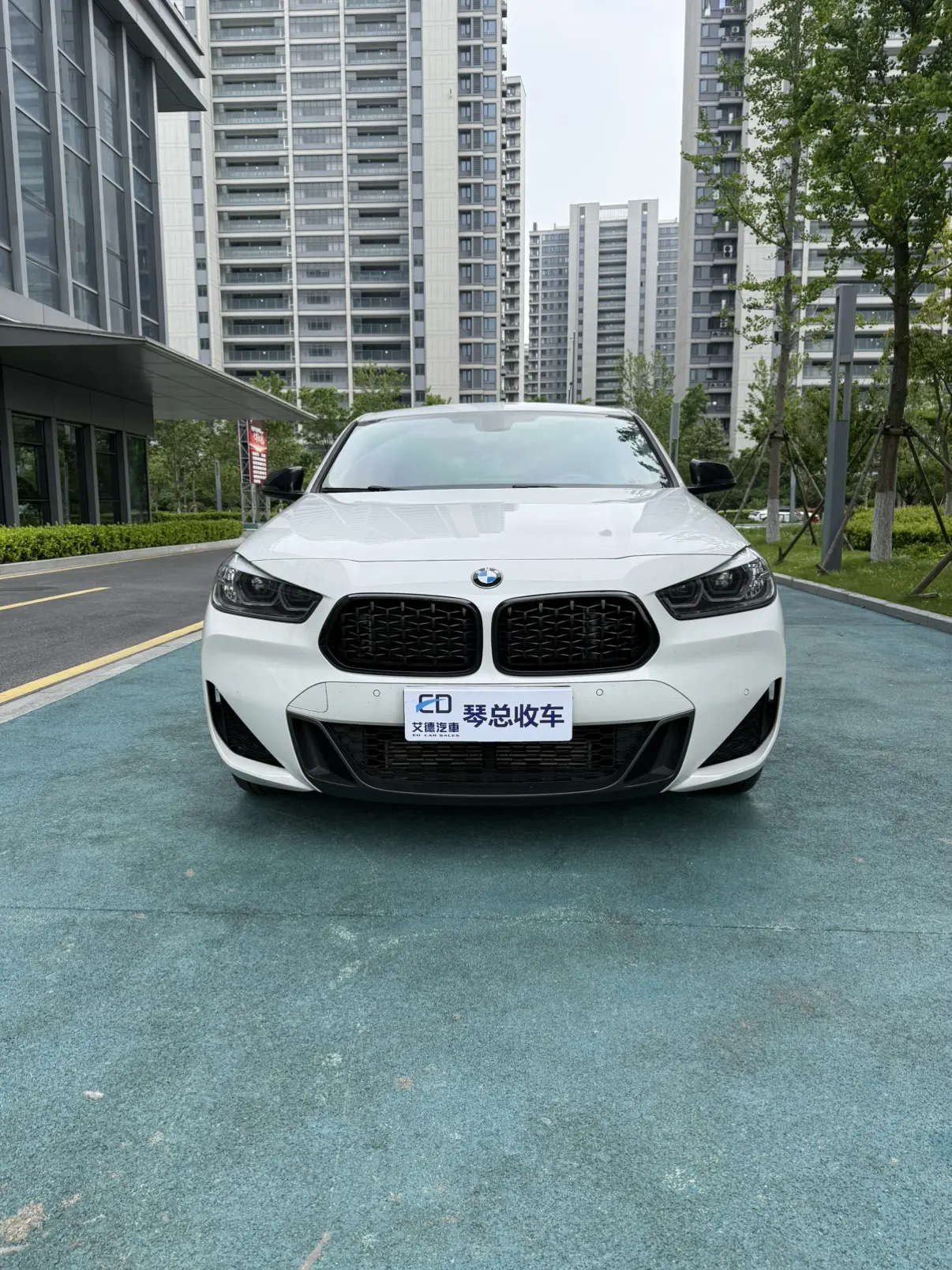 BMW X2
