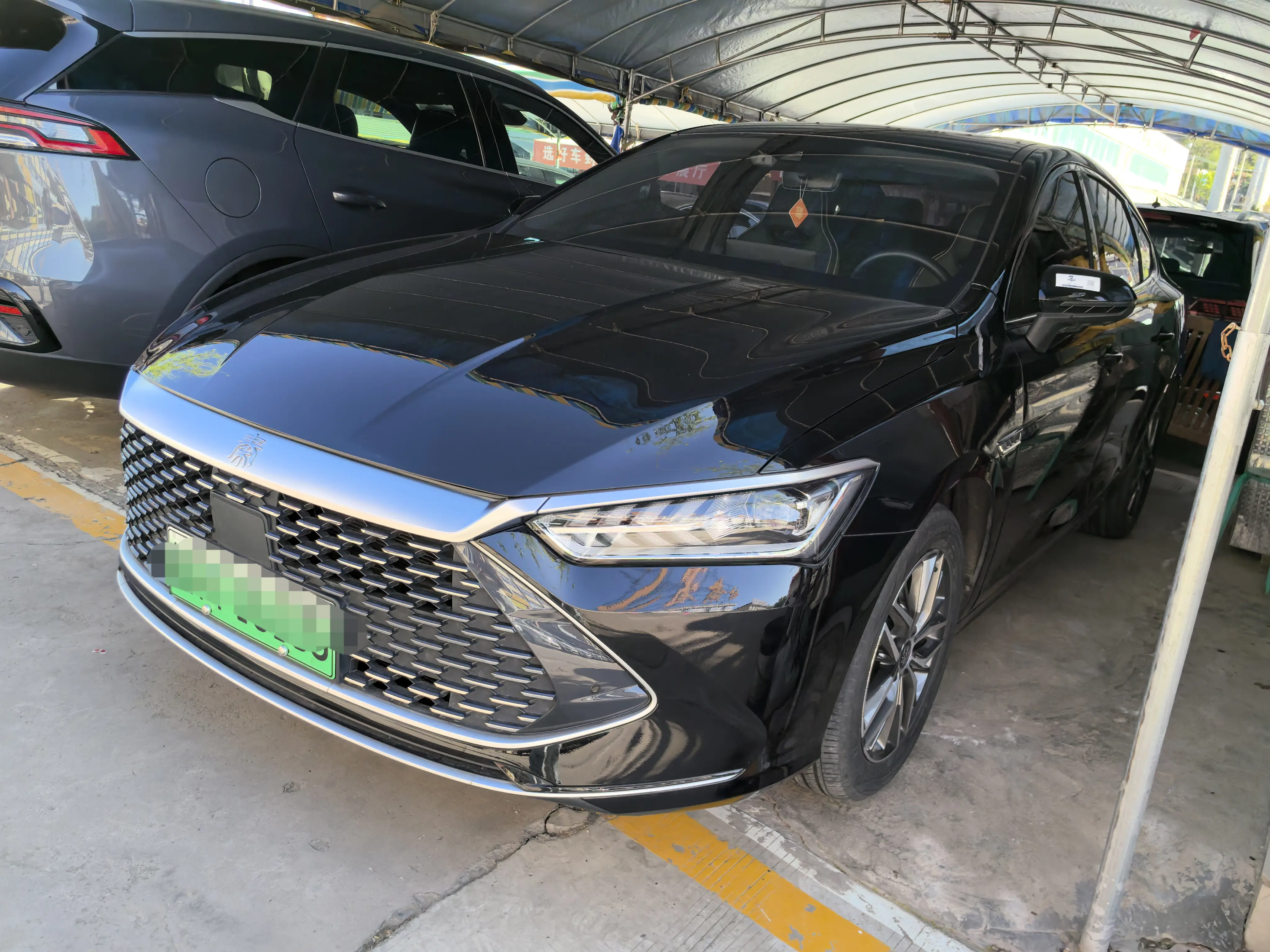 BYD Qin PLUS DM
