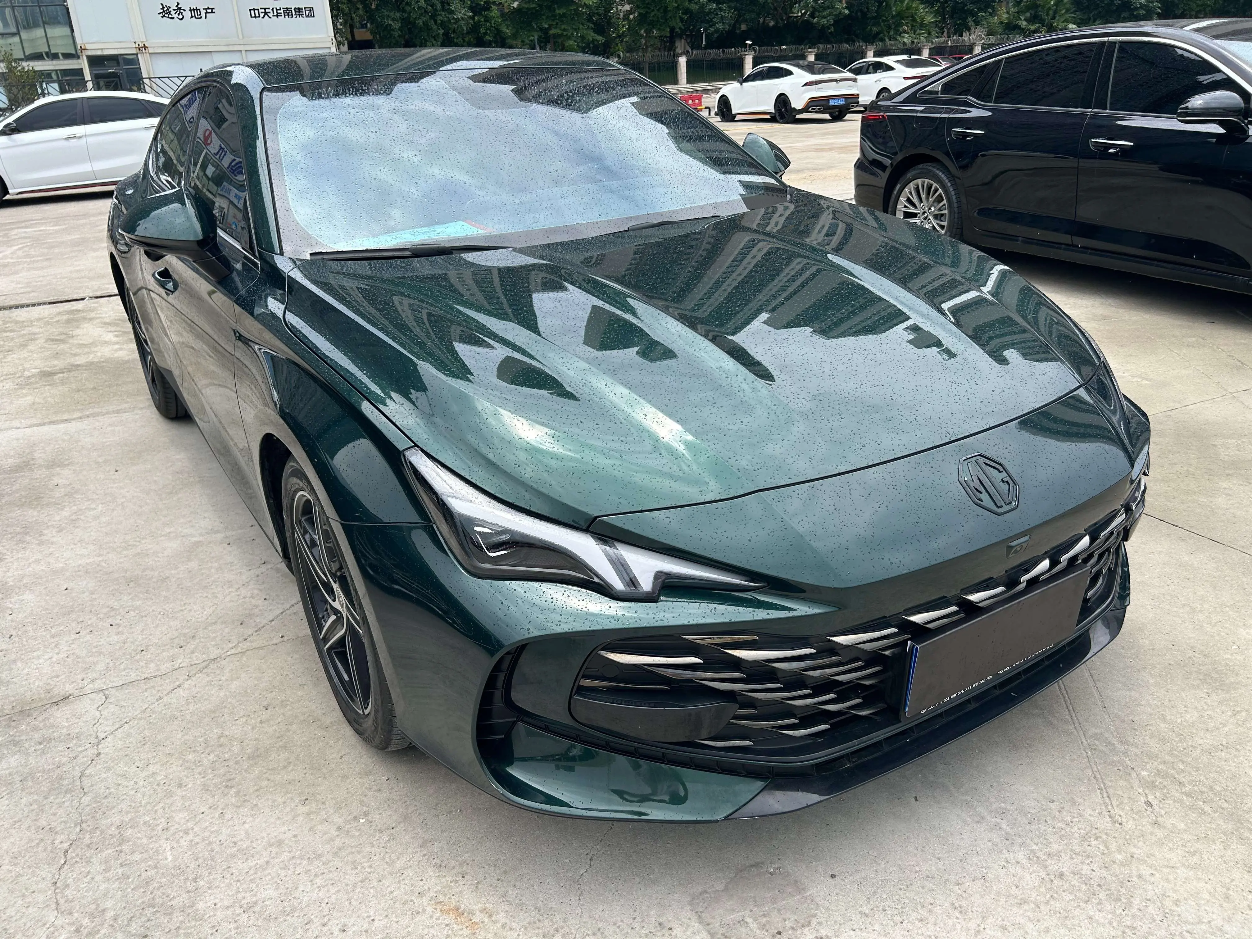 MG 7