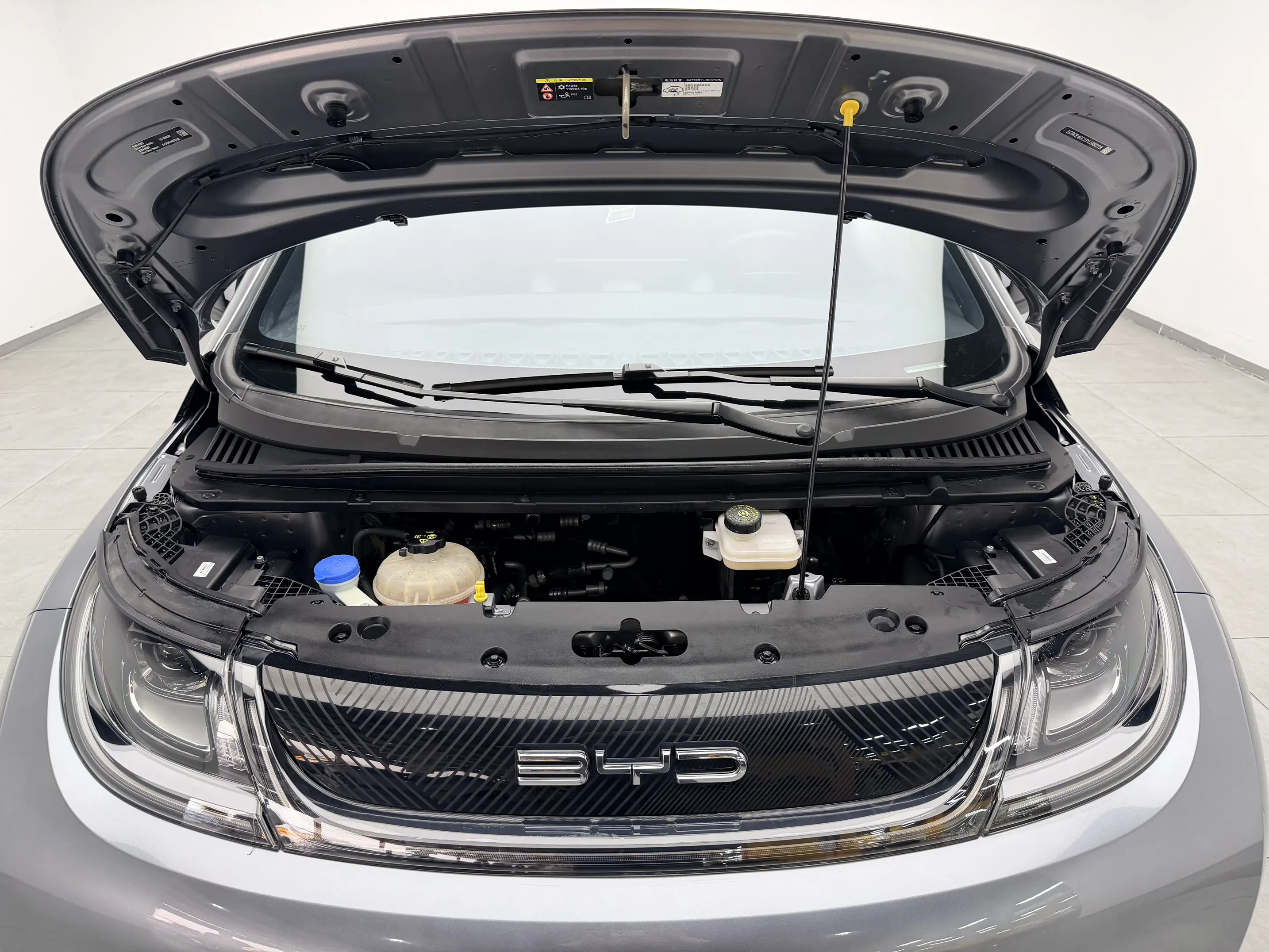 BYD dolphin