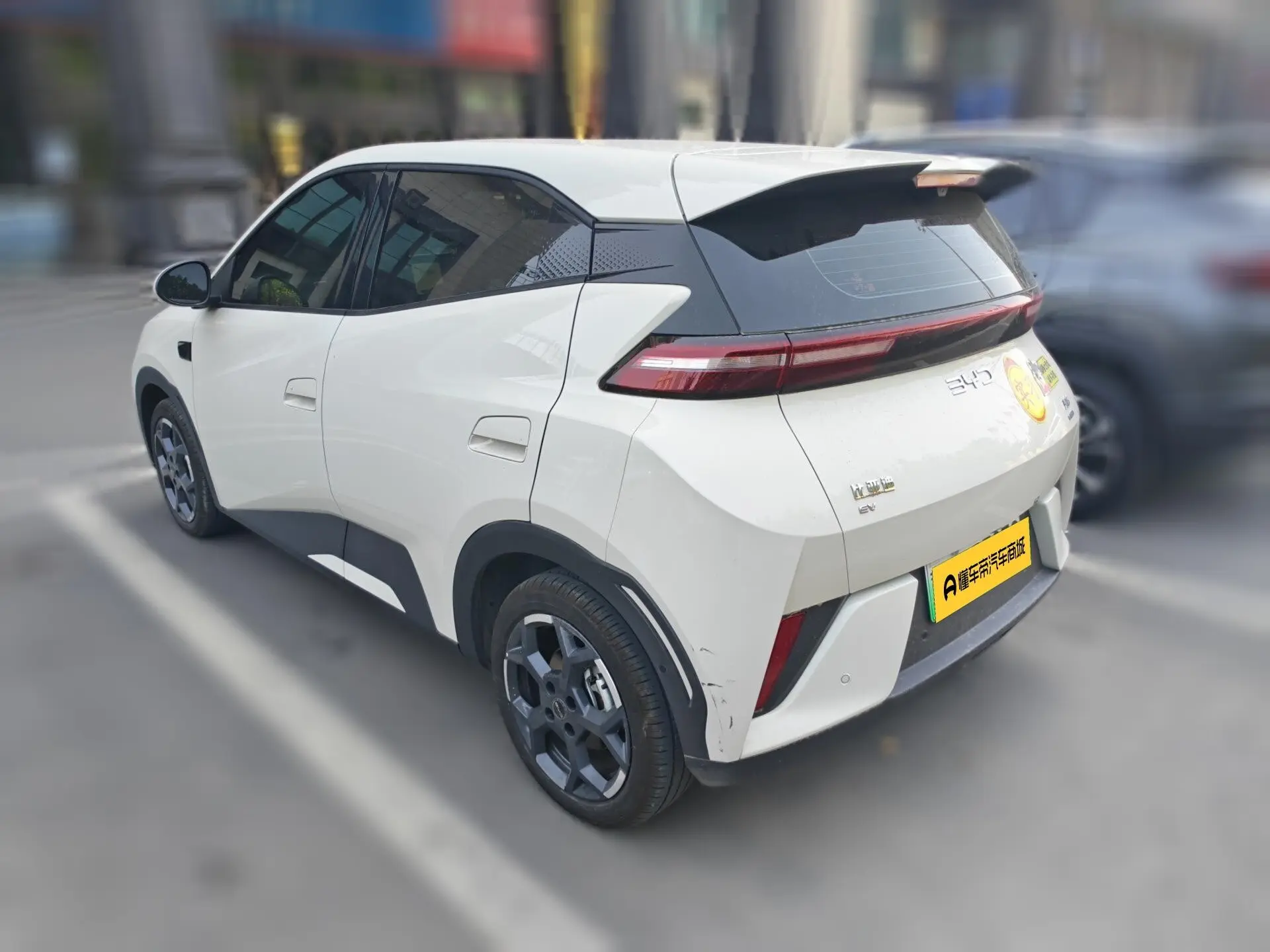 BYD seagull