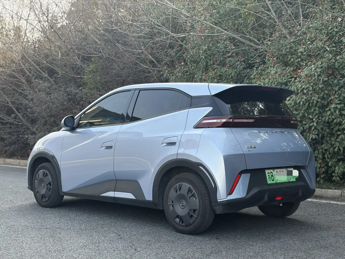 BYD Seagull