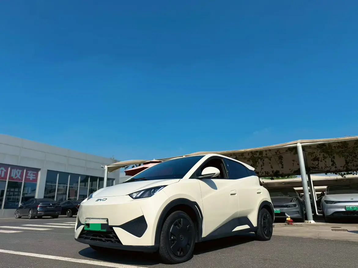 BYD Seagull
