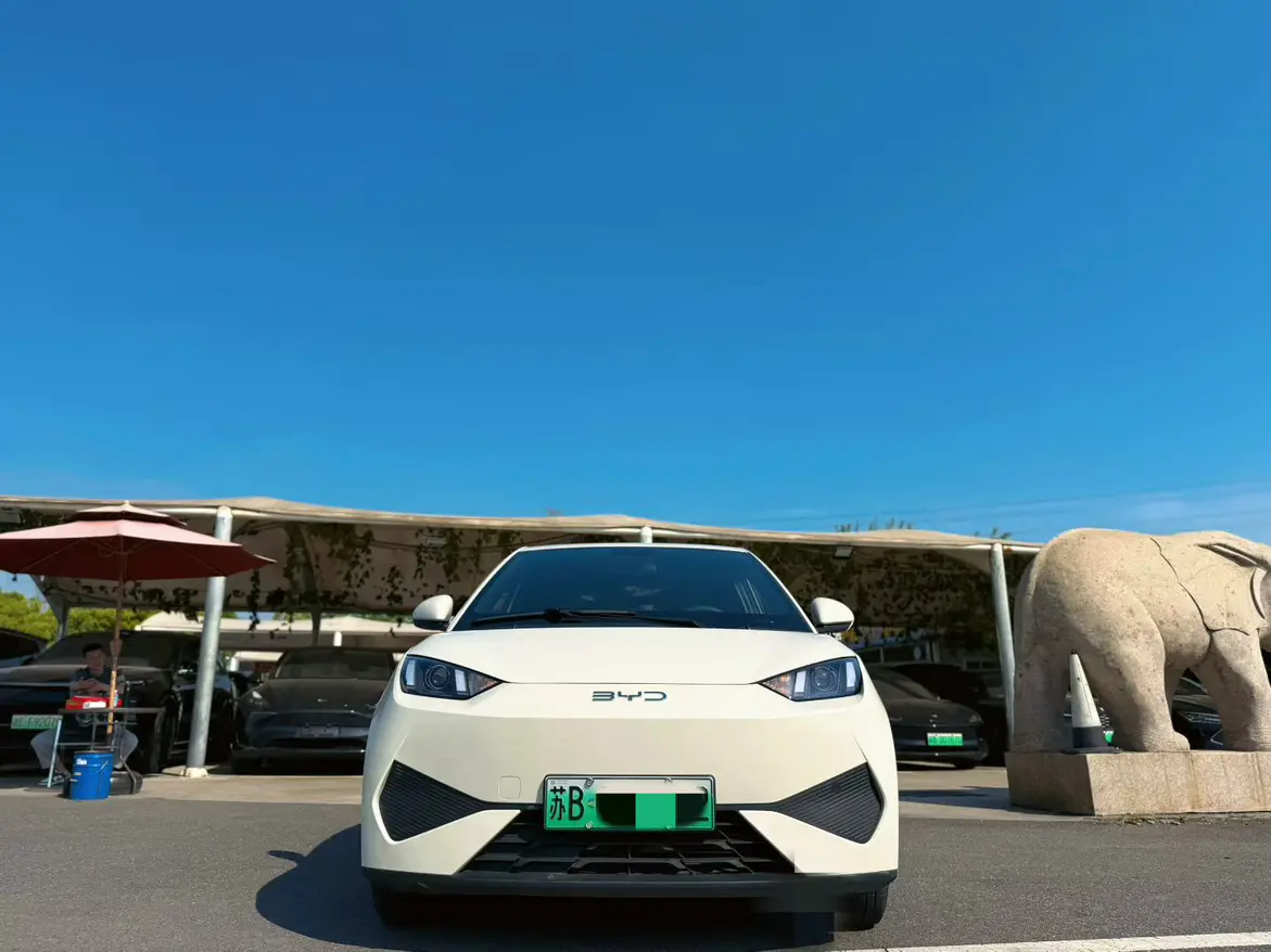 BYD Seagull