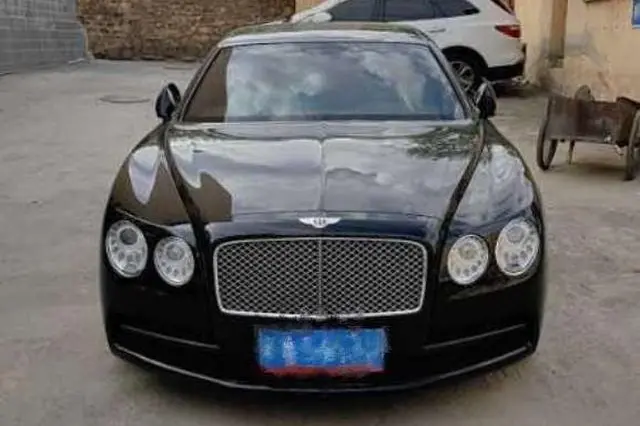 Bentley Galloping