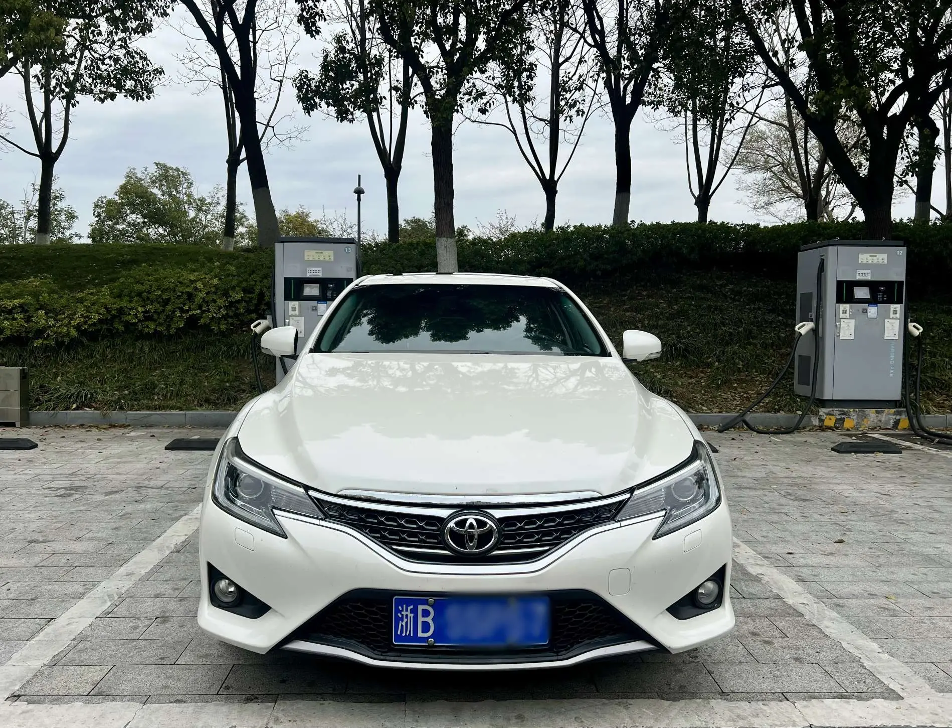 Toyota Ruizhi
