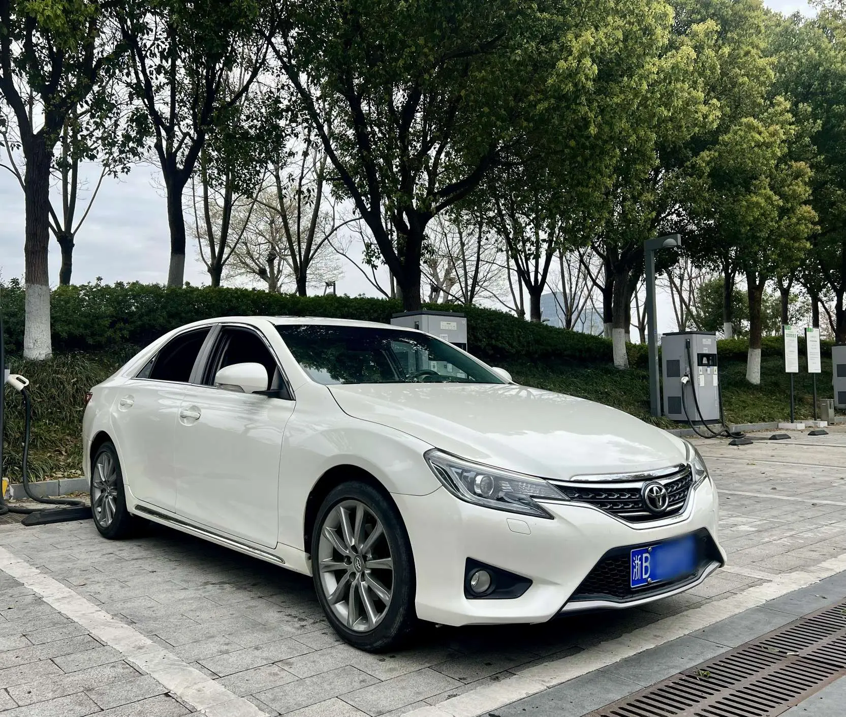 Toyota Ruizhi