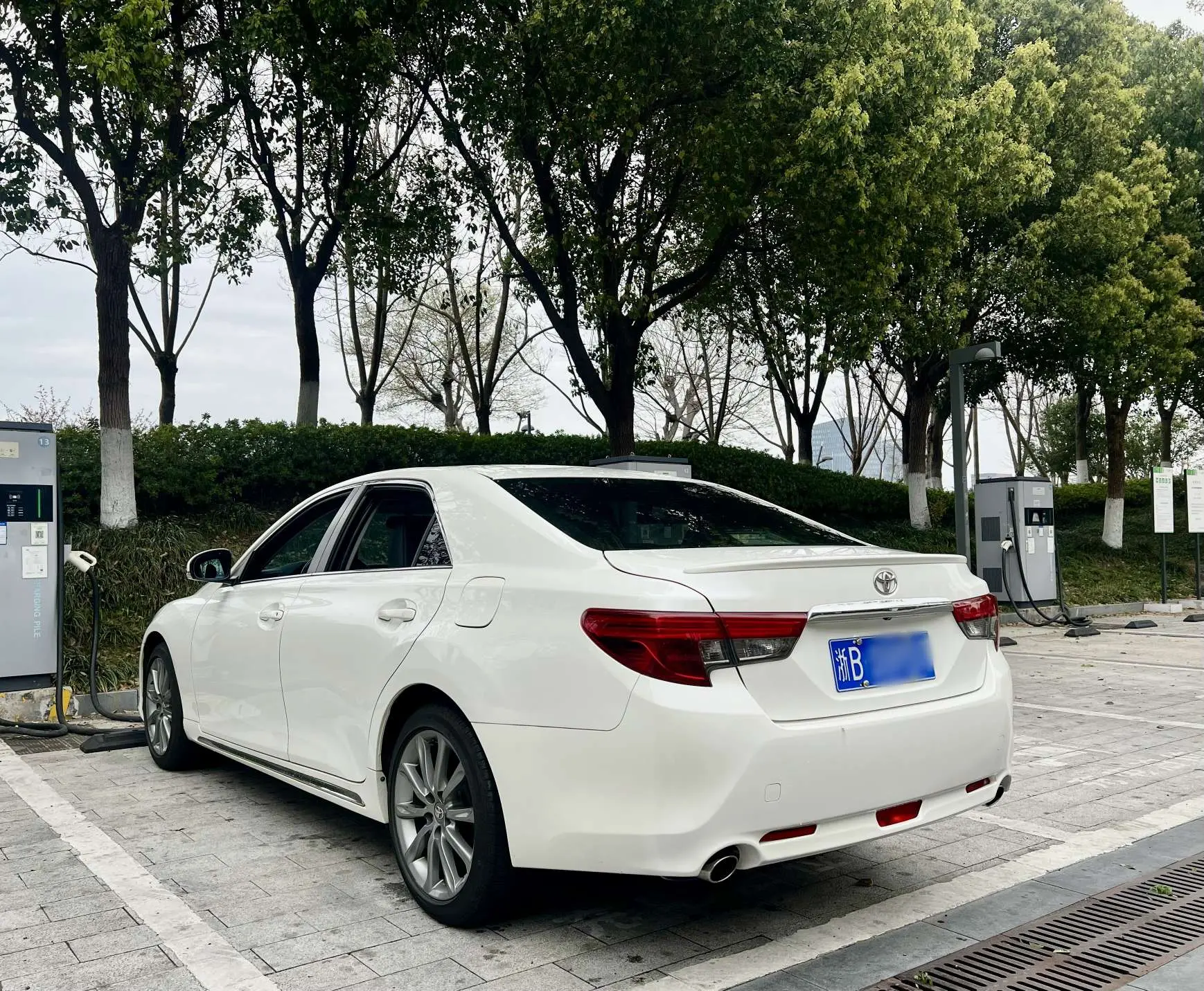 Toyota Ruizhi