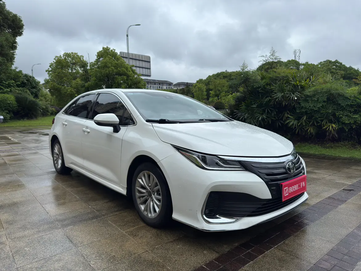 Toyota Asiatic lion