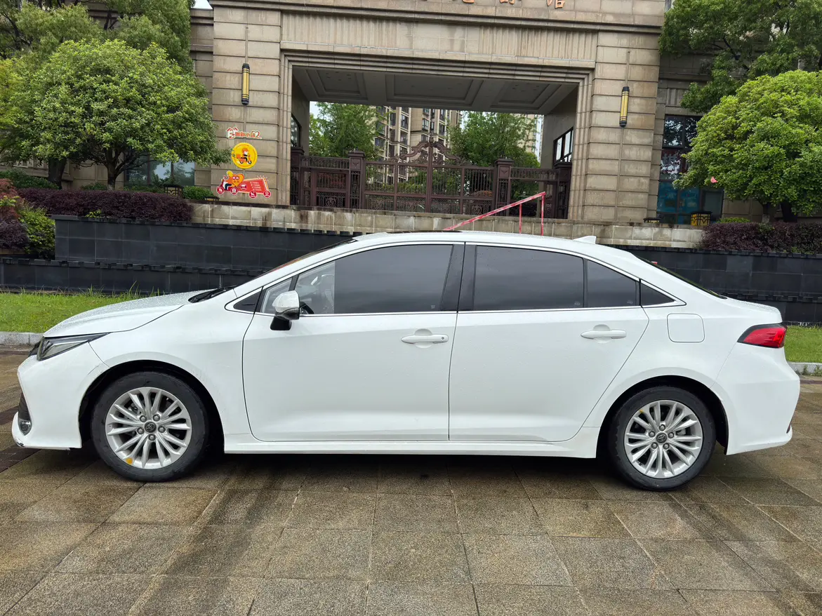 Toyota Asiatic lion