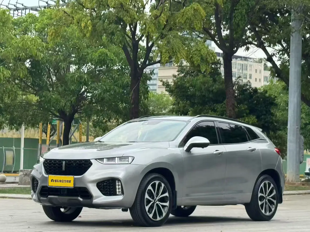Wey Wei brand VV7