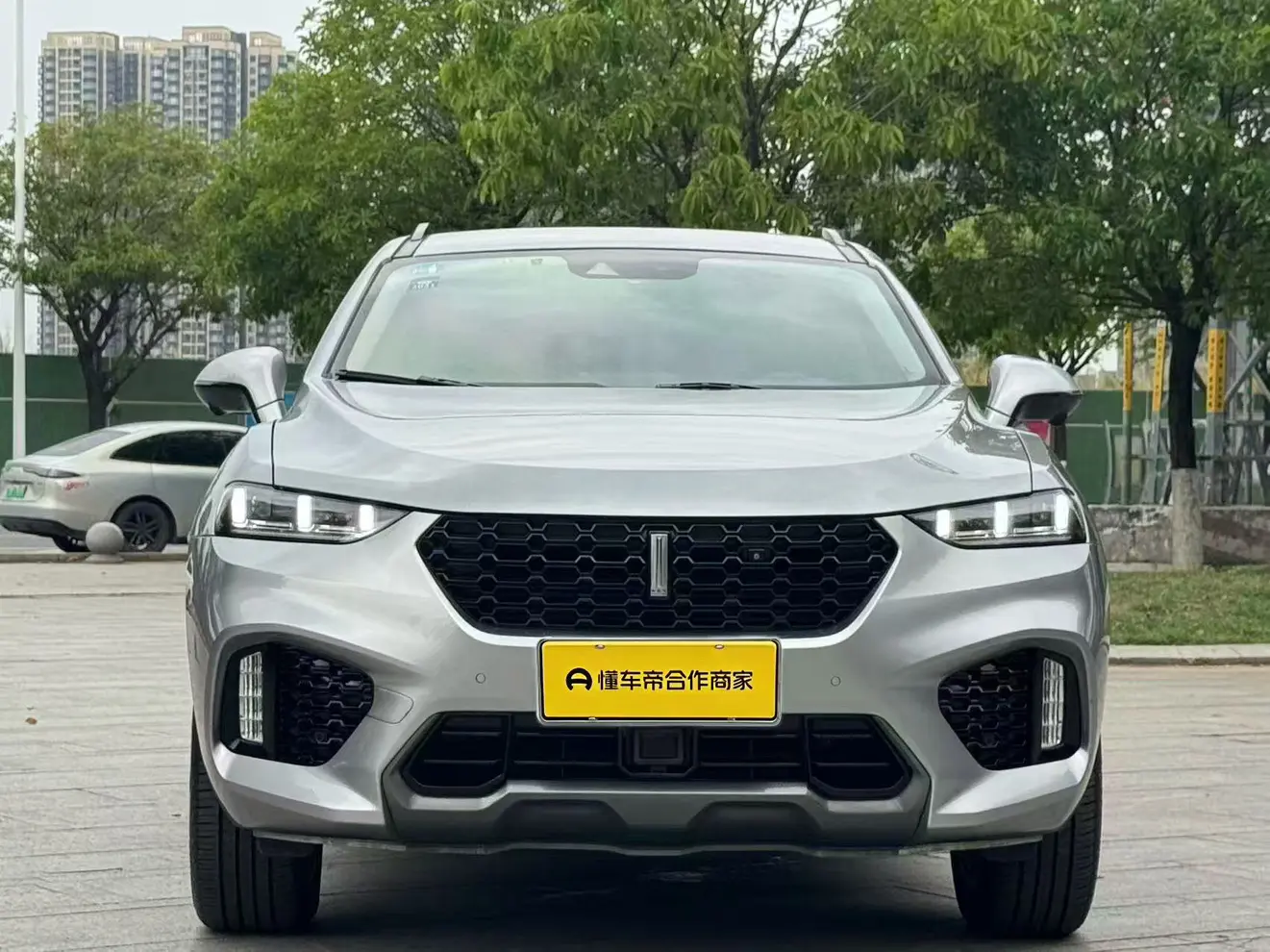 Wey Wei brand VV7