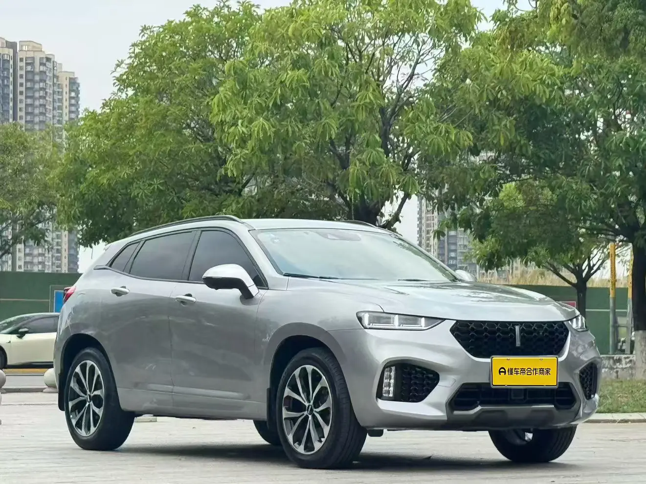 Wey Wei brand VV7