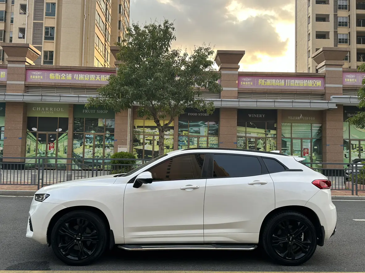 Wey Wei brand VV7