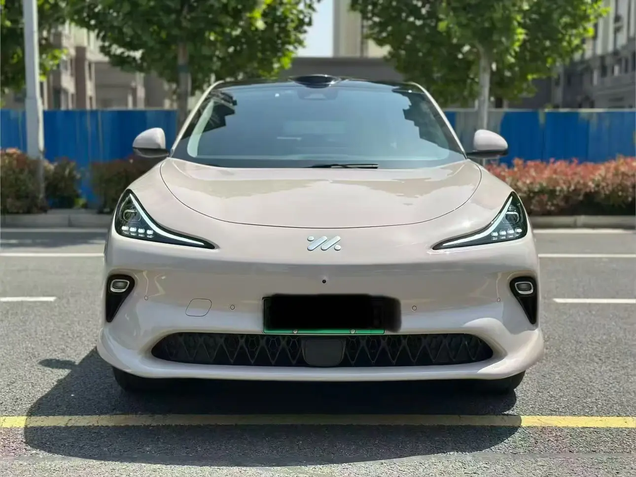 IM Motors LS6