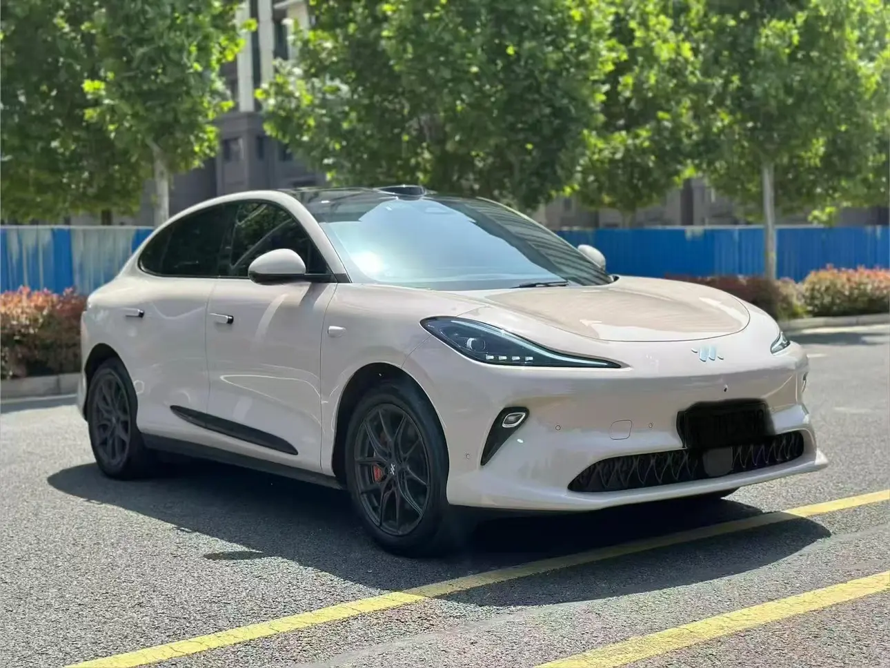 IM Motors LS6