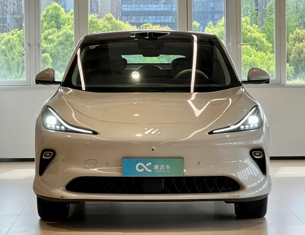 IM Motors LS6