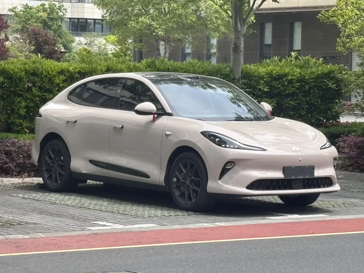 IM Motors LS6