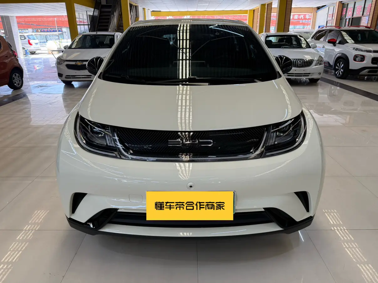 BYD dolphin