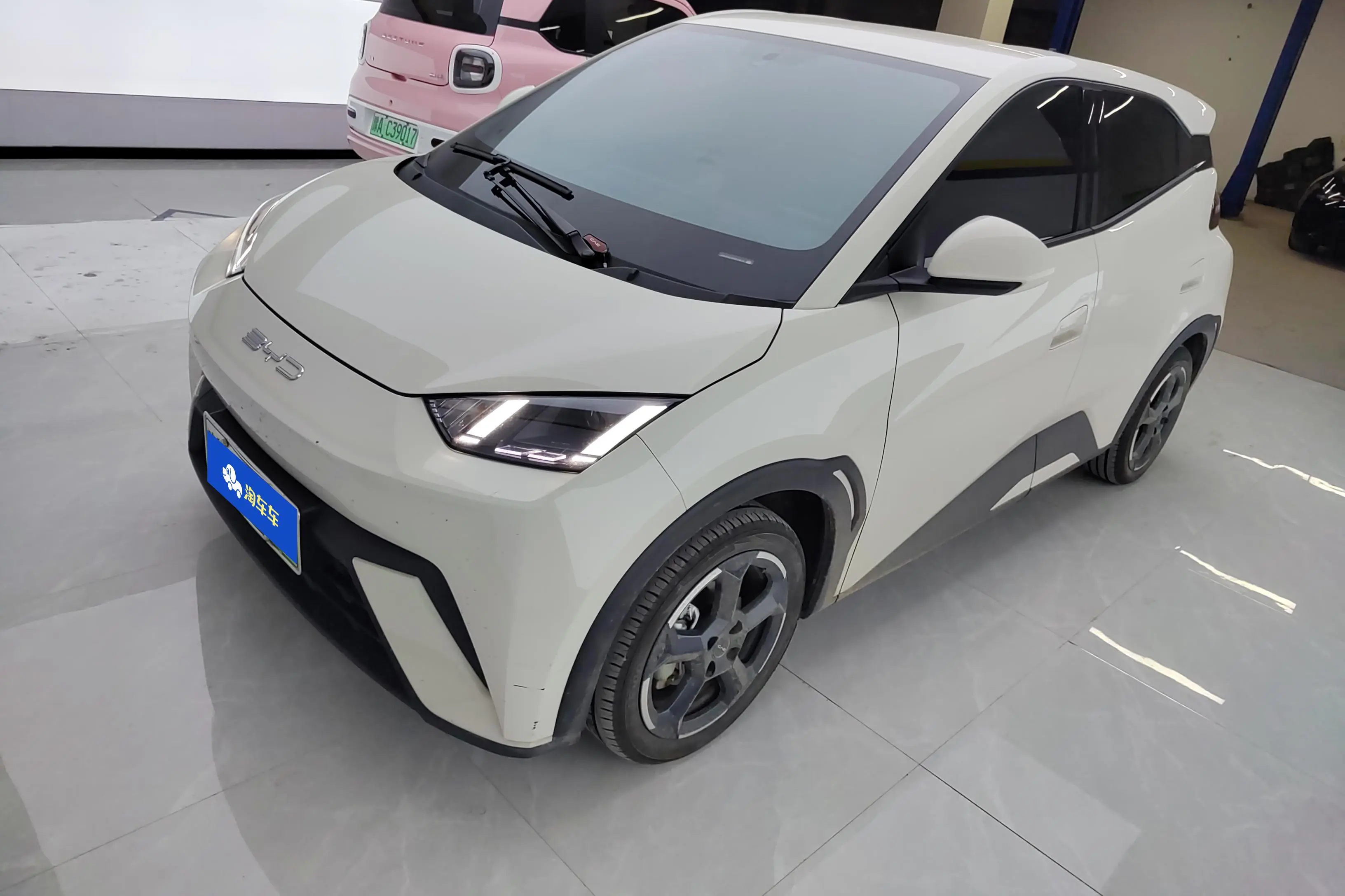 BYD Seagull