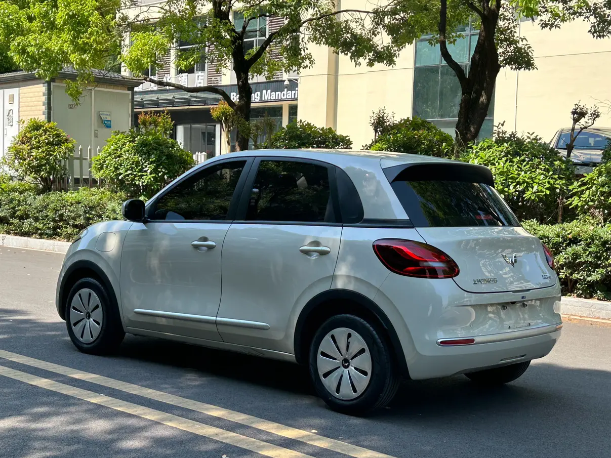 Wuling Bingo