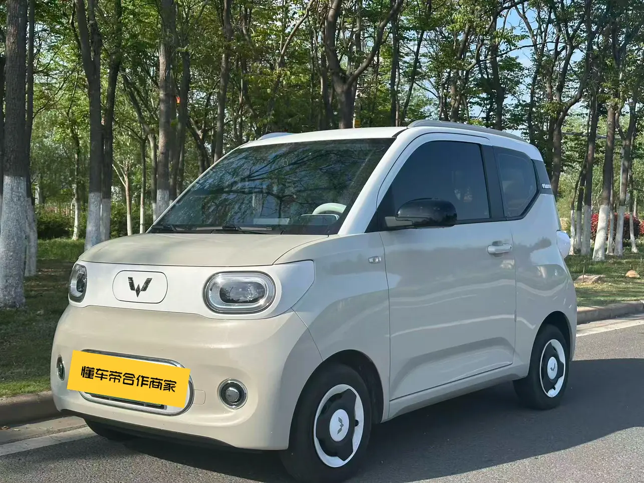 Wuling Hongguang MINIEV