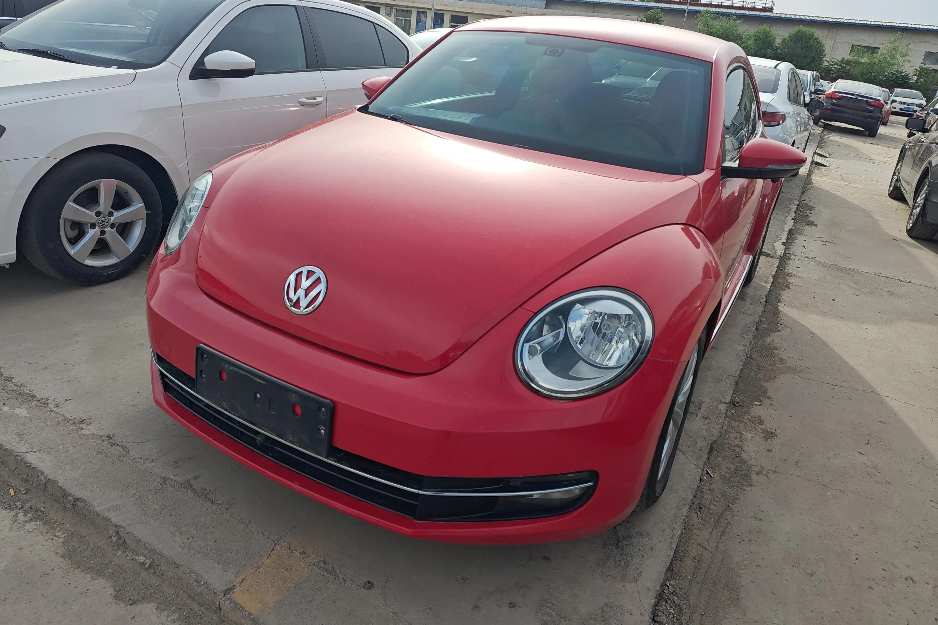 Volkswagen Beetle