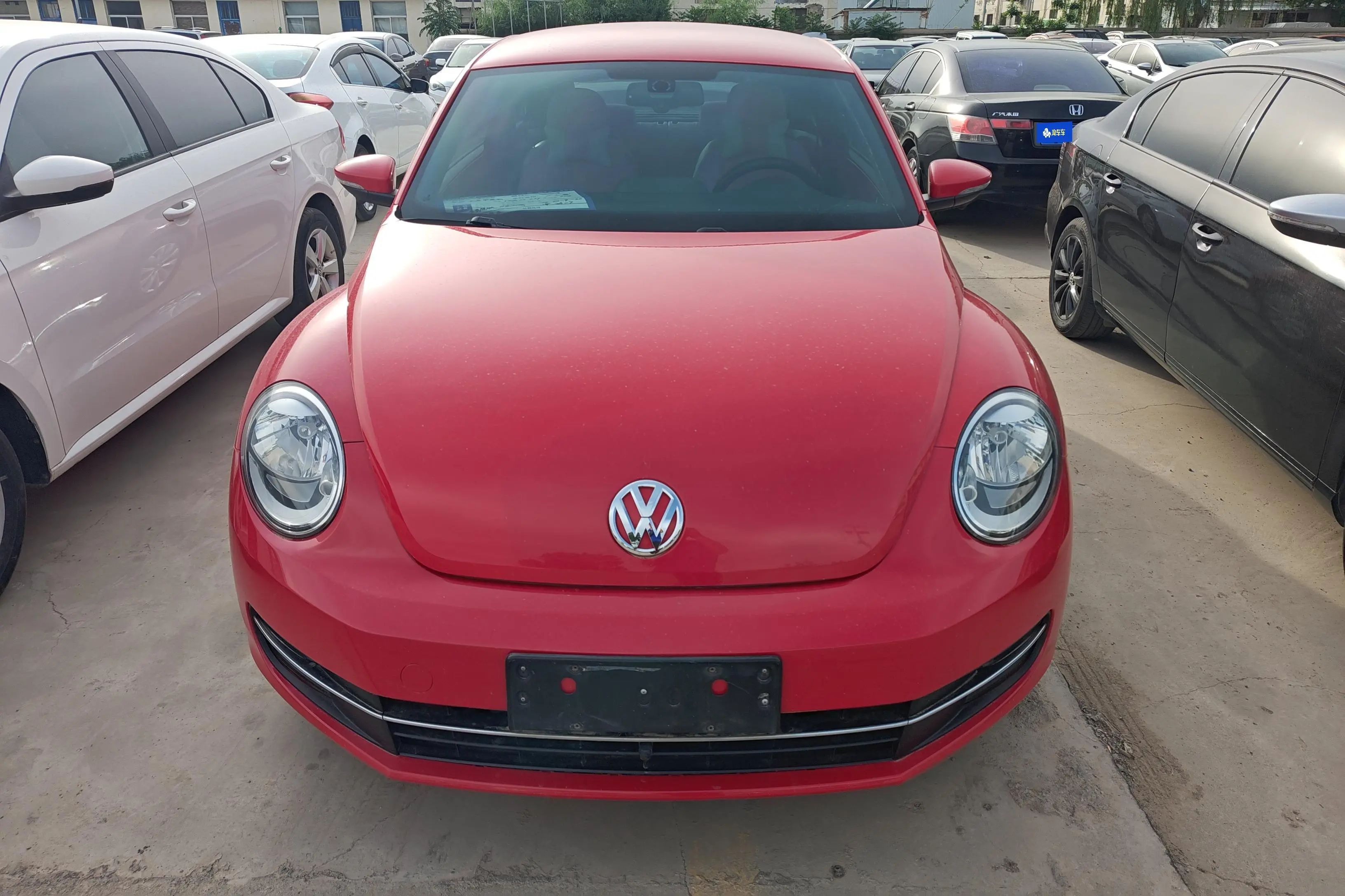 Volkswagen Beetle