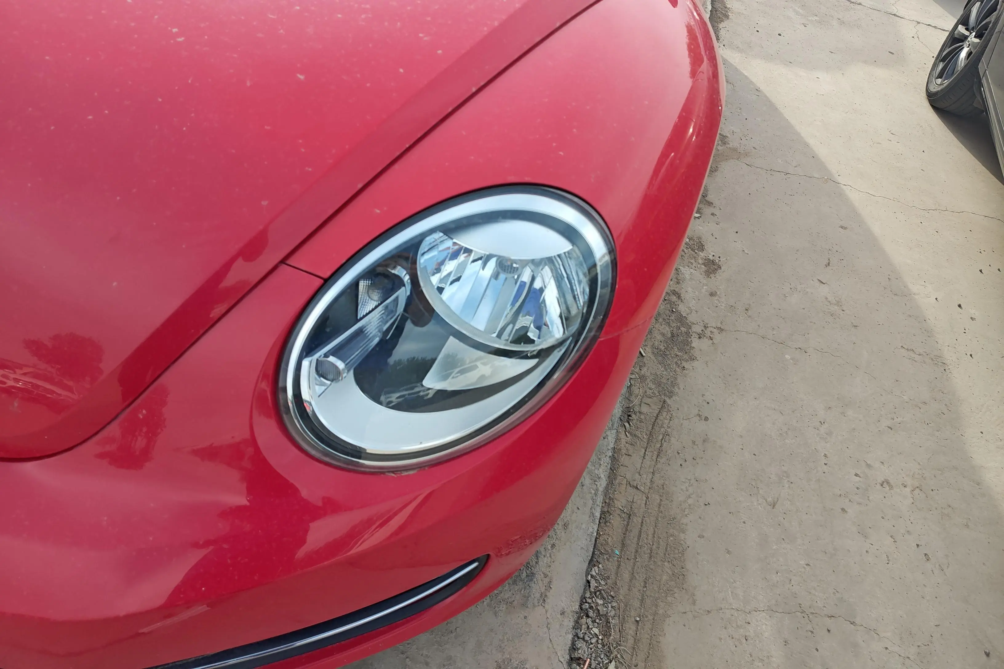Volkswagen Beetle