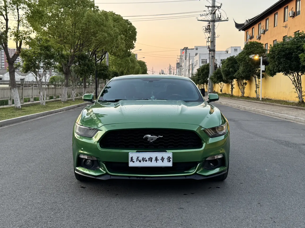 Ford Mustang