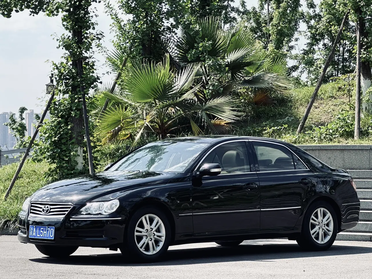 Toyota Ruizhi