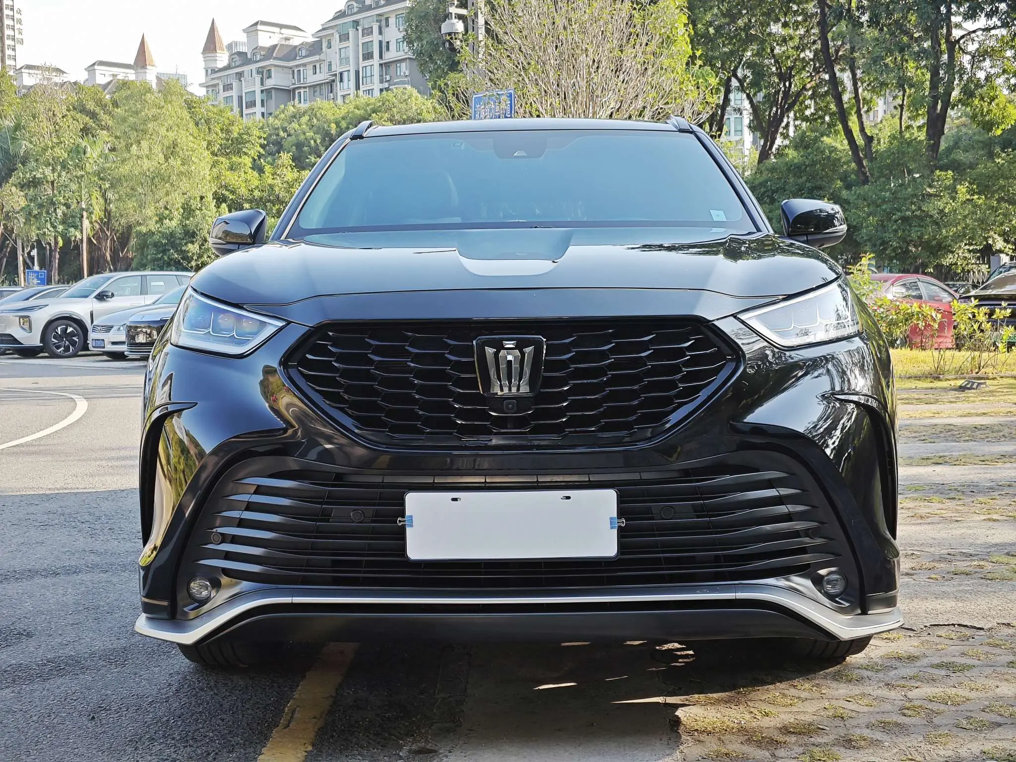 Toyota Crown Kluger