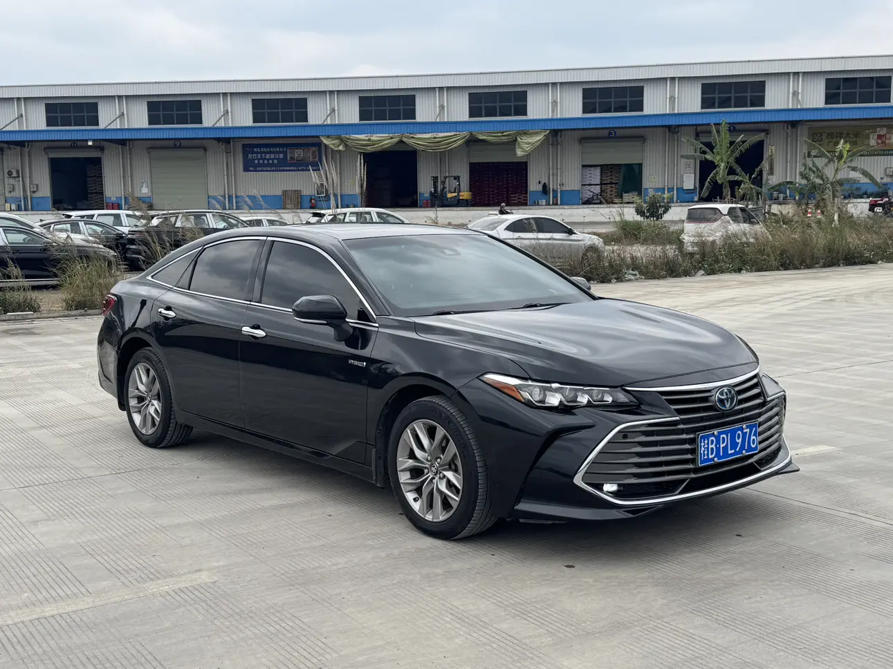 Toyota Avalon