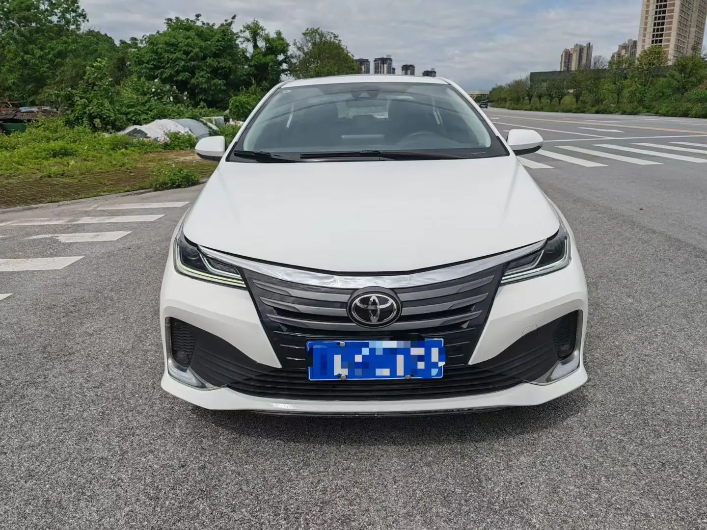 Toyota Asiatic lion