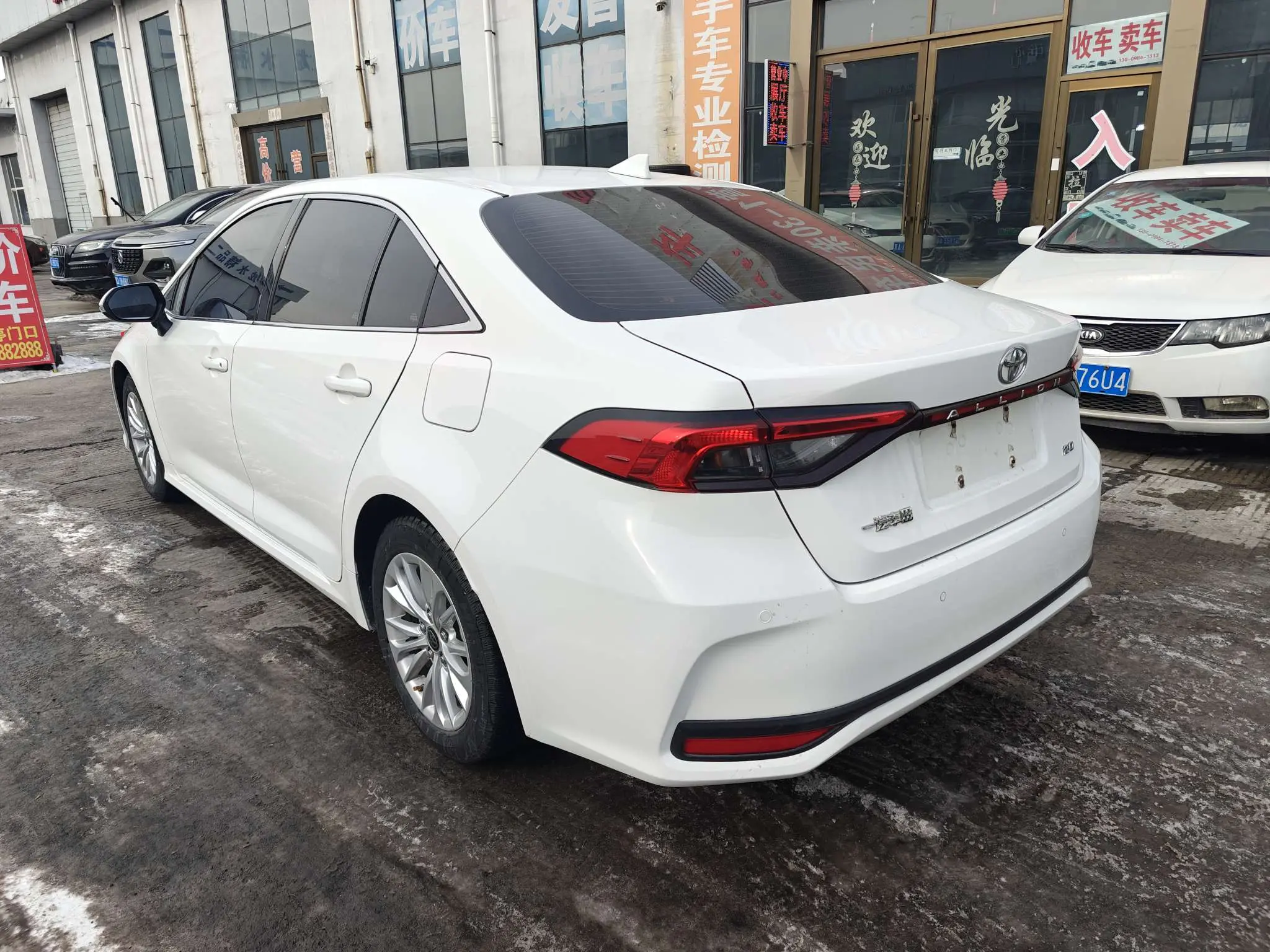 Toyota Asiatic lion