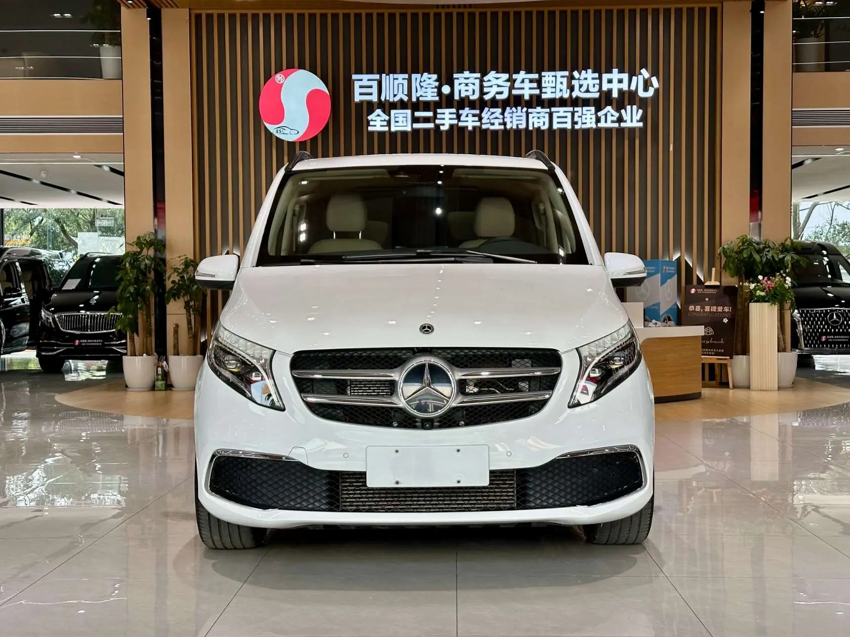 Mercedes-Benz Mercedes Benz V Class