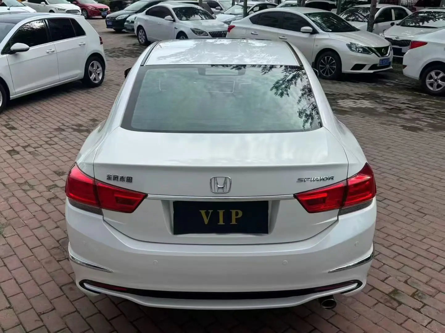 Honda Sibo Rui