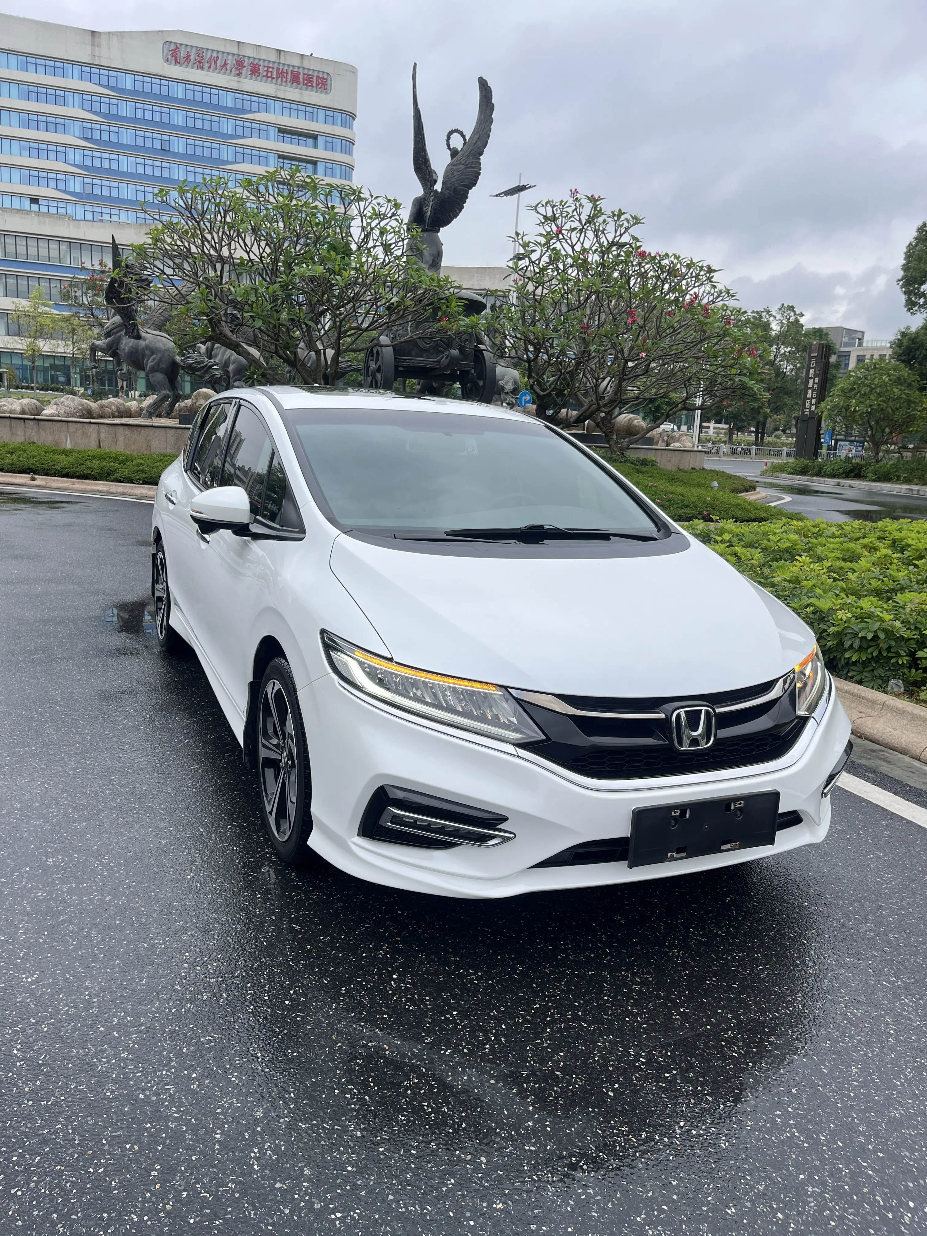 Honda Jed