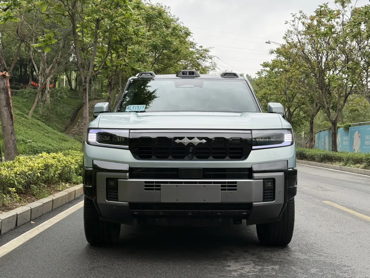 BYD Leopard Leopard 8