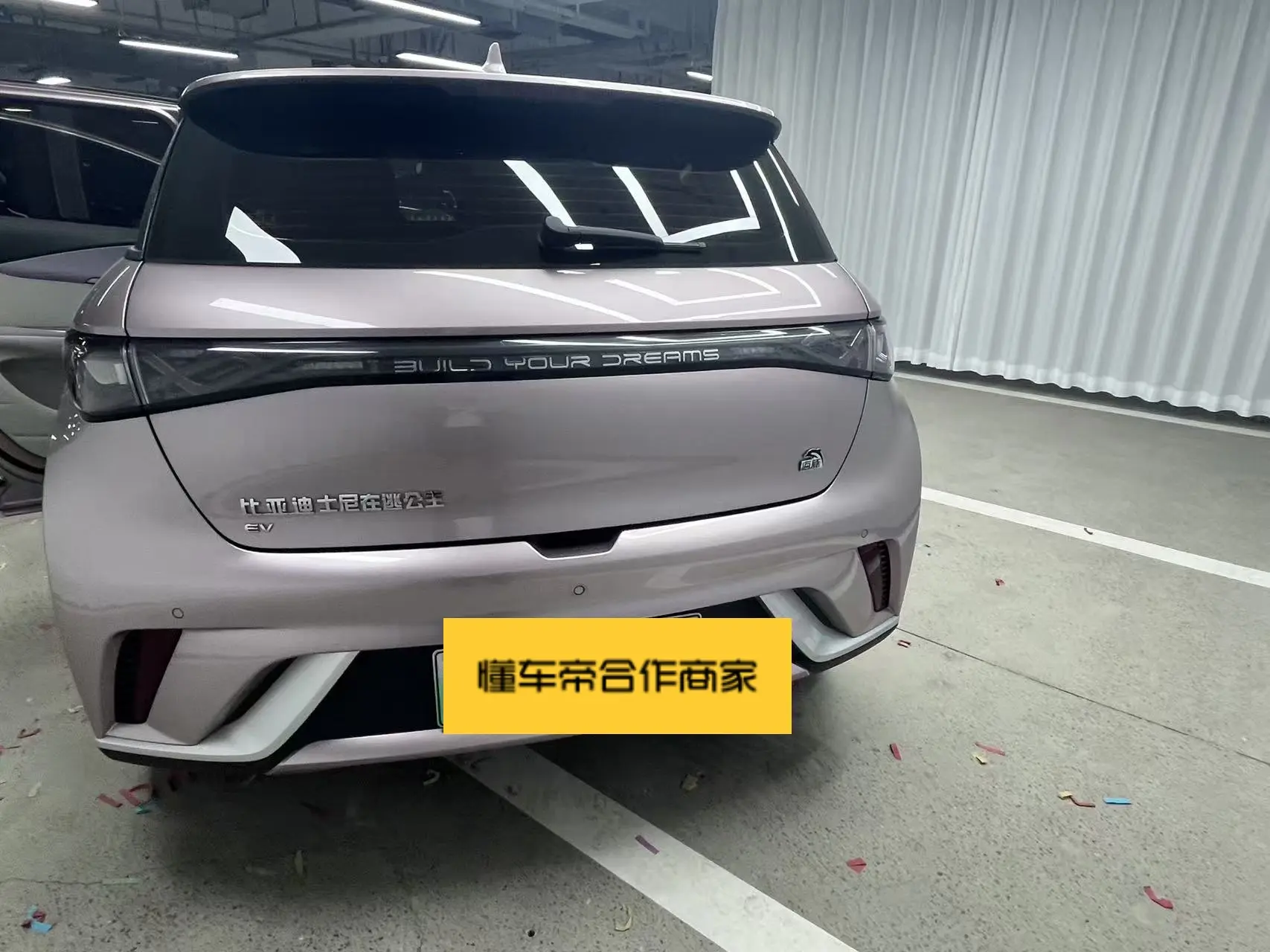 BYD Dolphin