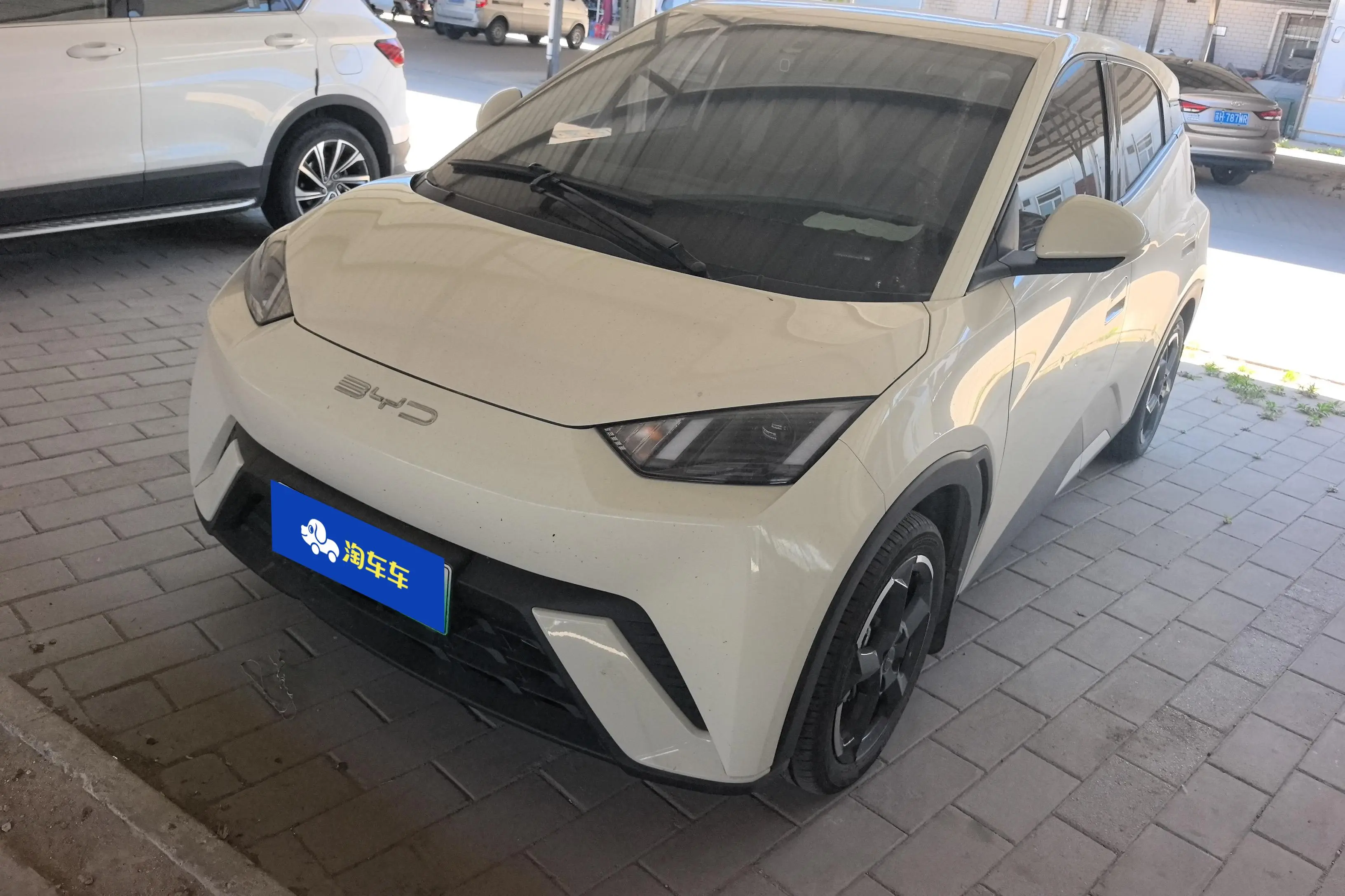 BYD Seagull