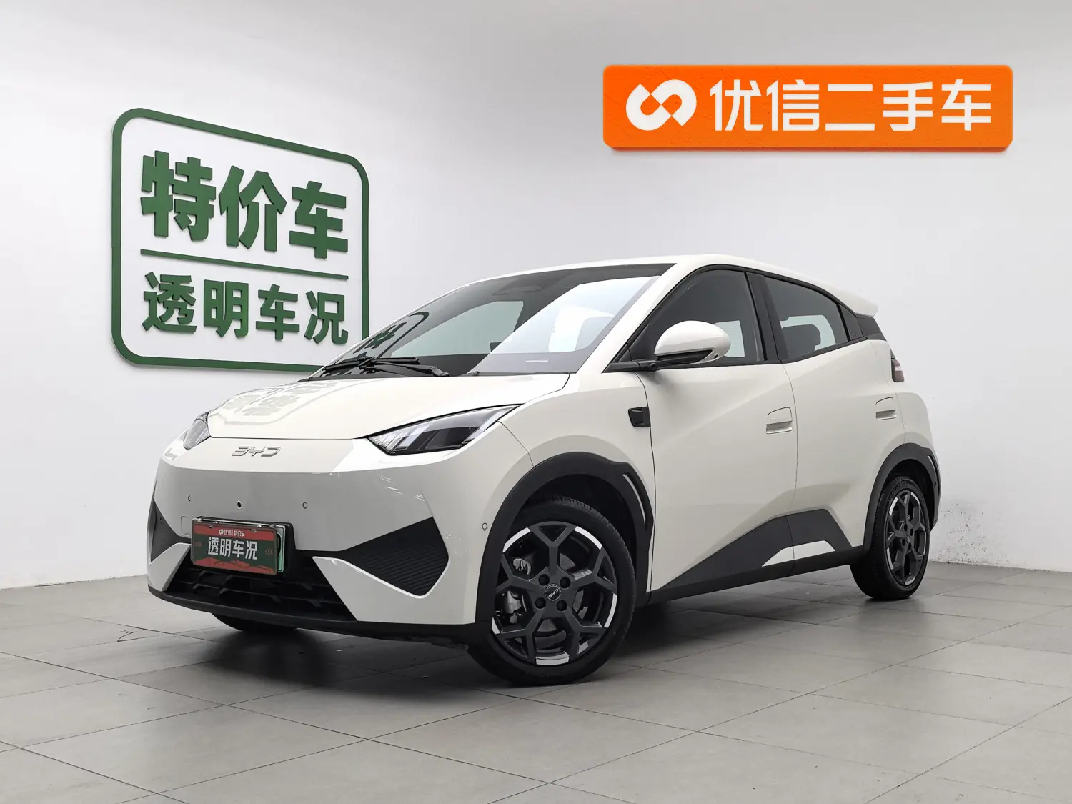 BYD Seagull