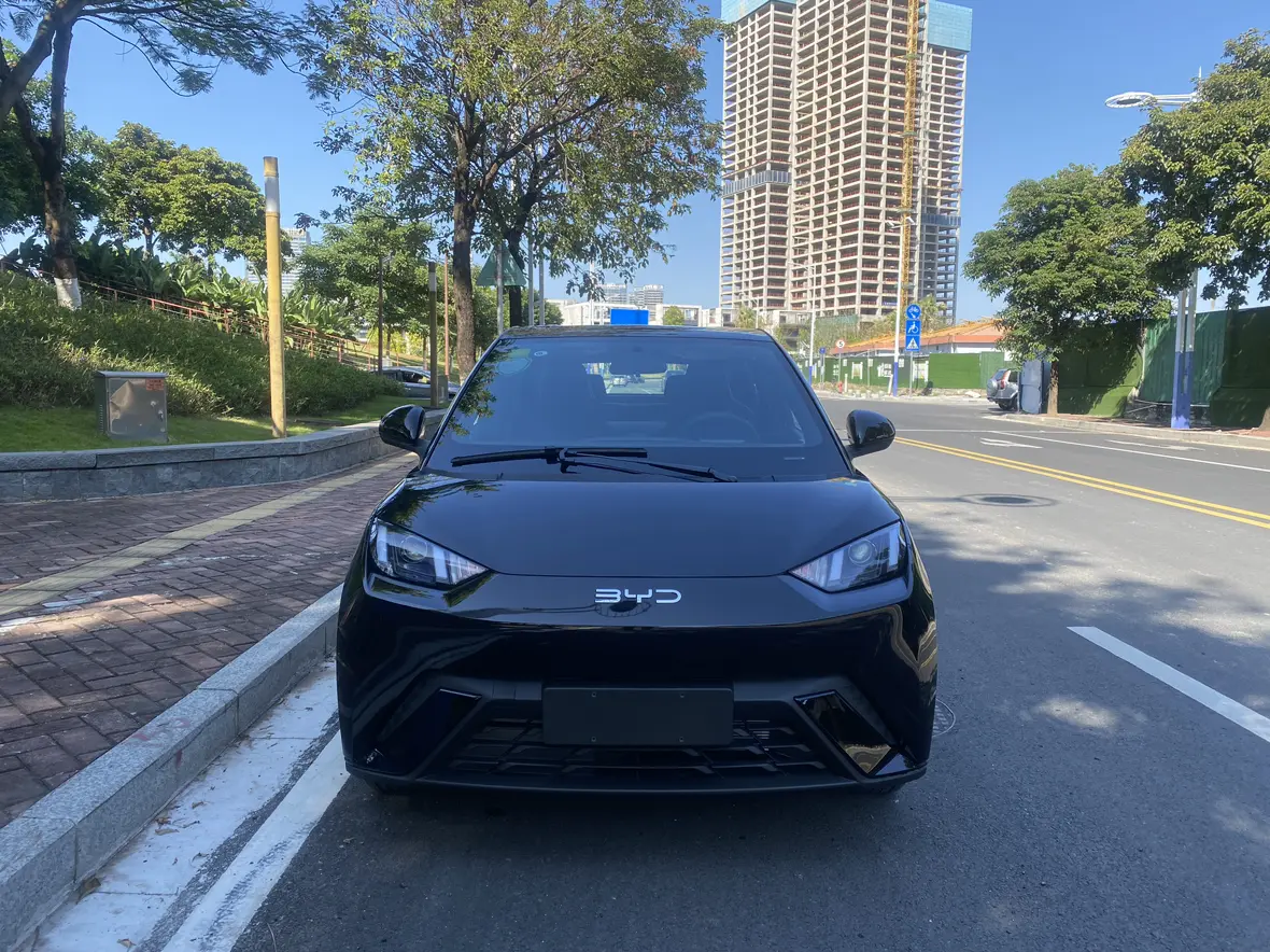 BYD Seagull