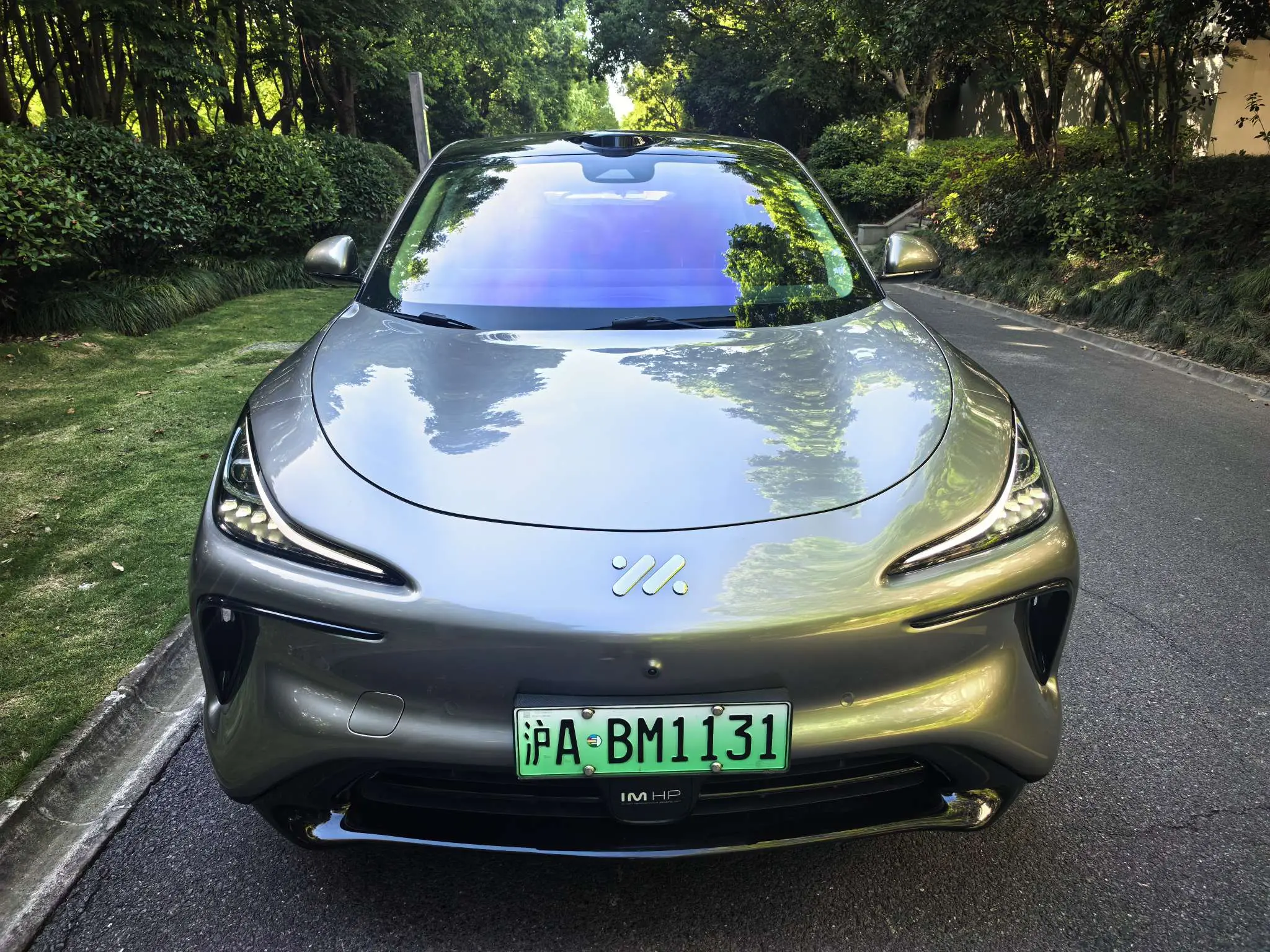 IM Motors LS6