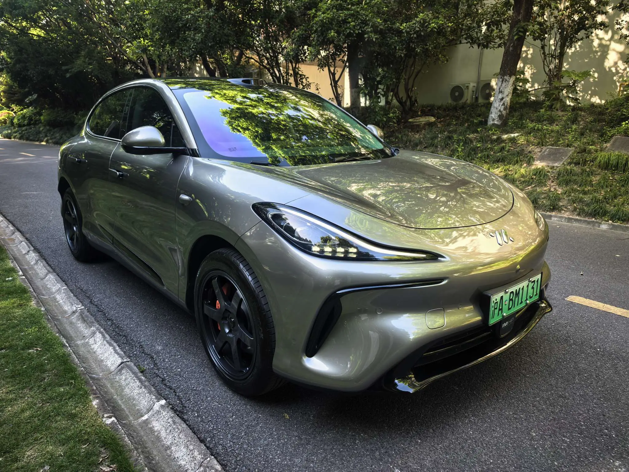 IM Motors LS6