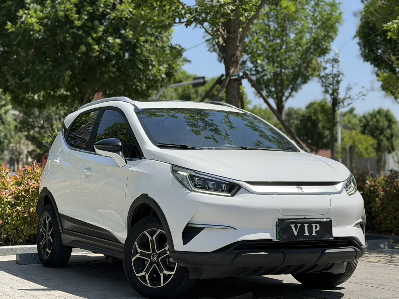 BYD Yuan Pro