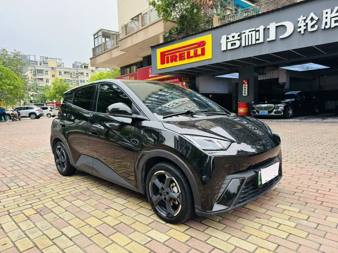 BYD seagull
