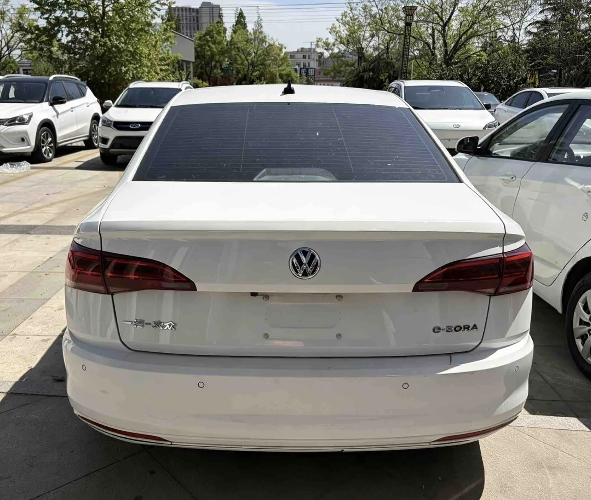 Volkswagen Bora·Pure Electric